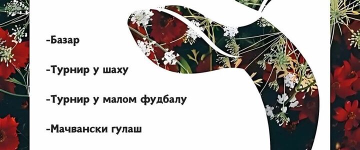 V МИХОЉСКИ СУСРЕТИ СЕЛА У МАЧВИ